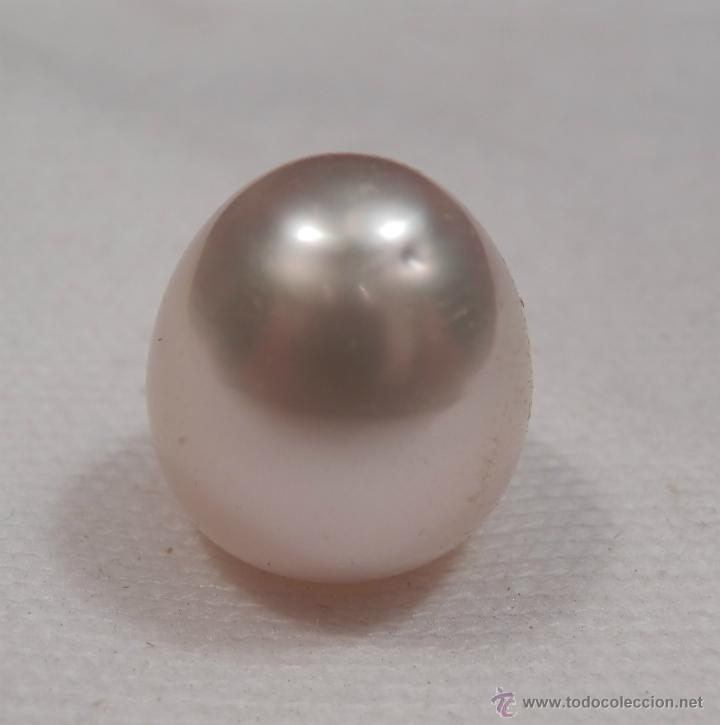 Joyeria: PERLA AUSTRALIANA (PERLA DE LOS MARES DEL SUR) (16.16 Qts) - Foto 2