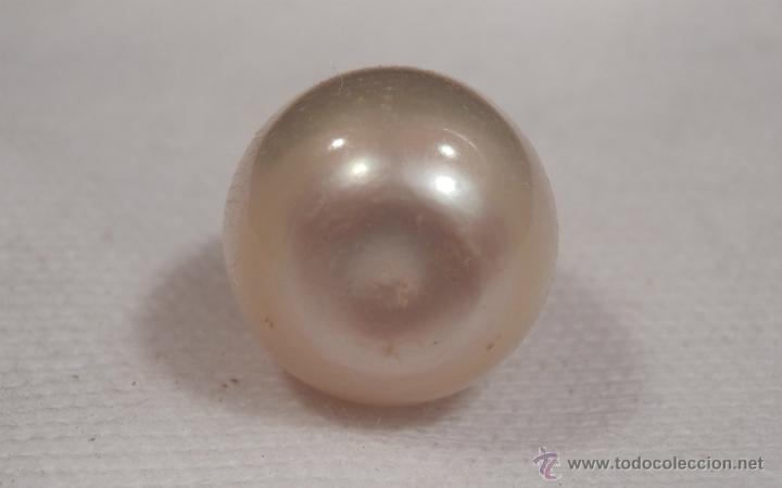 Joyeria: PERLA AUSTRALIANA (PERLA DE LOS MARES DEL SUR) (16.16 Qts) - Foto 3
