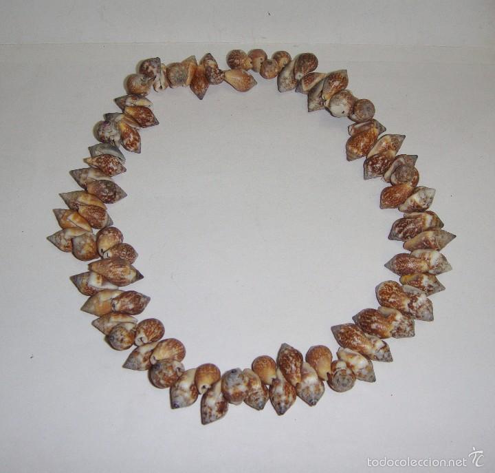 Joyeria: Antiguo Collar de Cuentas Marinas. - Foto 1