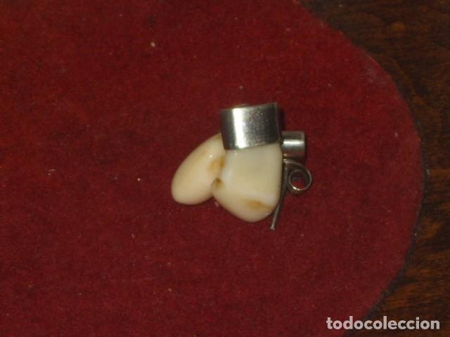 Joyeria: PENDIENTES MOLARES DE CIERVO.A&Ntilde;OS 30 -40. - Foto 1