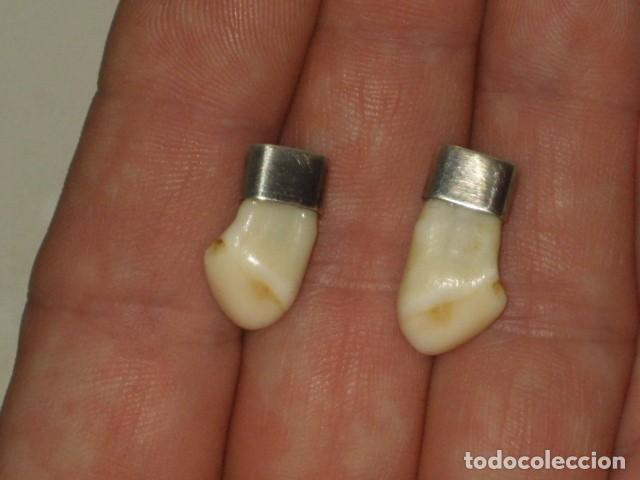Joyeria: PENDIENTES MOLARES DE CIERVO.A&Ntilde;OS 30 -40. - Foto 2