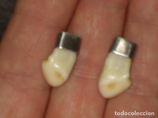 Joyeria: PENDIENTES MOLARES DE CIERVO.A&Ntilde;OS 30 -40. - Foto 3