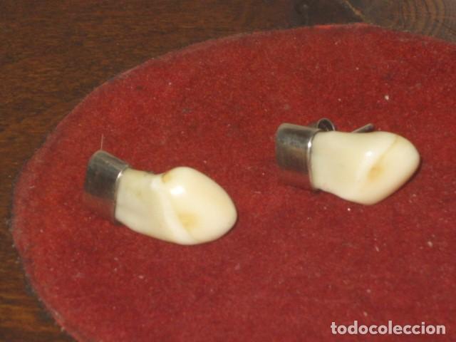 Joyeria: PENDIENTES MOLARES DE CIERVO.A&Ntilde;OS 30 -40. - Foto 5