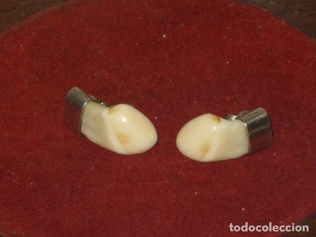 Joyeria: PENDIENTES MOLARES DE CIERVO.A&Ntilde;OS 30 -40. - Foto 6