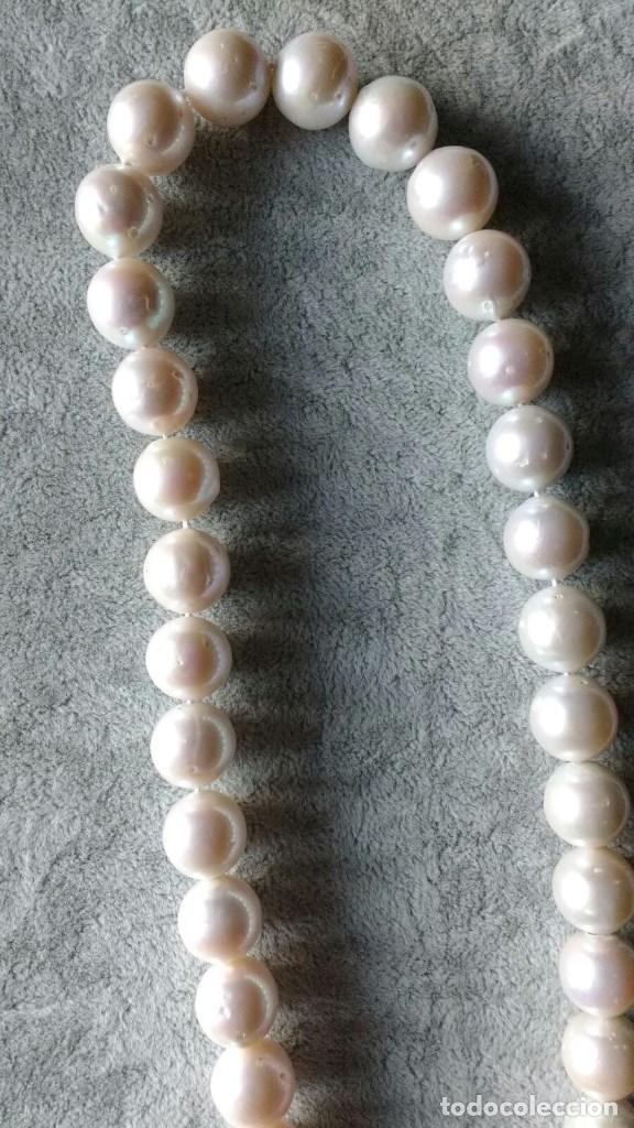 Joyeria: TIRA DE PERLA CULTIVADA AAA. - Foto 3