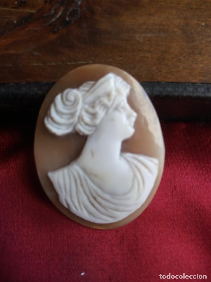 Joyeria: Camafeo tallado de concha - Foto 1