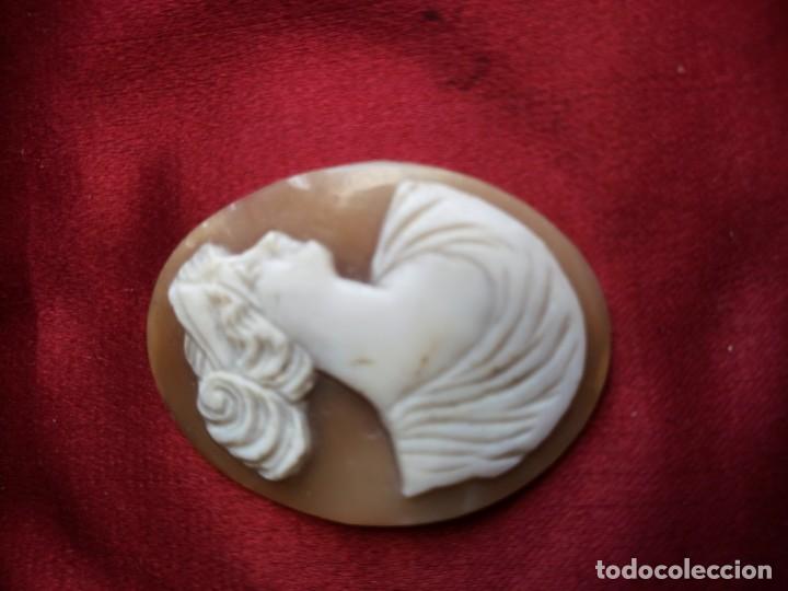 Joyeria: Camafeo tallado de concha - Foto 2