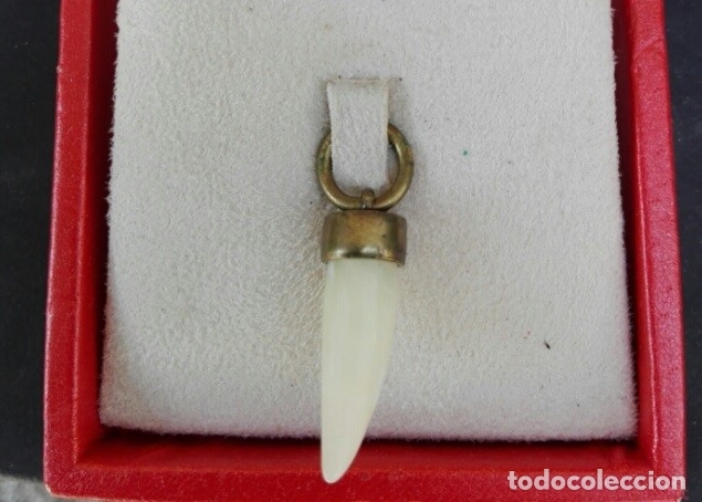 Joyeria: Colgante unisex, diente con forma de colmillo o cuerno de jade blanco china - Foto 1 - 93068155