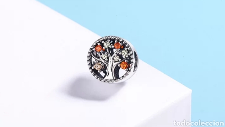 Joyeria: Charm o colgante de Plata ENV&Iacute;O GRATIS!! - Foto 1
