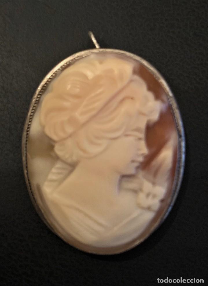 Joyeria: Camafeo de concha con orla de plata