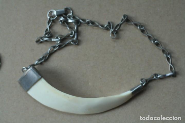 Joyeria: COLGANTE COLMILLO CON ENGARCE Y CADENA DE PLATA 925 - Foto 1