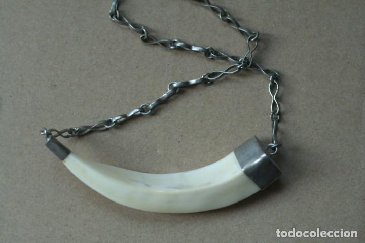 Joyeria: COLGANTE COLMILLO CON ENGARCE Y CADENA DE PLATA 925 - Foto 2