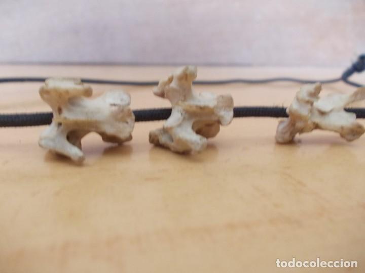 Joyeria: Collar con huesos vertebras - Foto 5