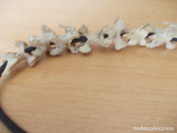 Joyeria: Collar con huesos vertebras - Foto 6