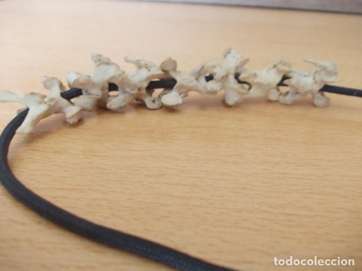 Joyeria: Collar con huesos vertebras - Foto 7