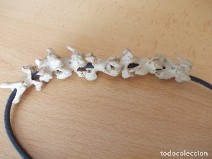 Joyeria: Collar con huesos vertebras - Foto 8