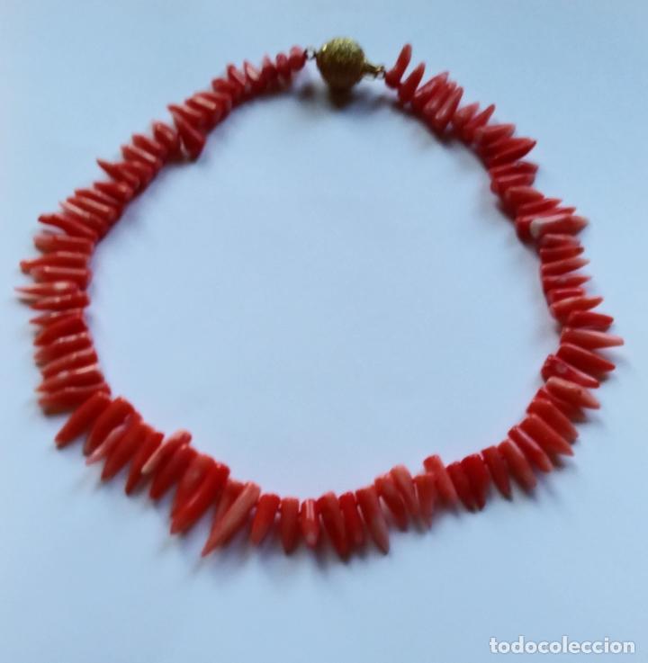 Joyeria: COLLAR DE DIENTES DE CORAL. - Foto 1