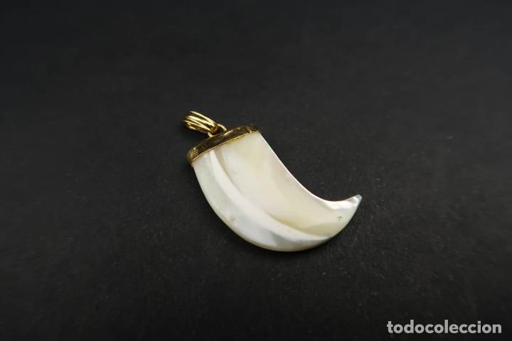 Joyeria: Antiguo Colgante Garra Nacar - Foto 2