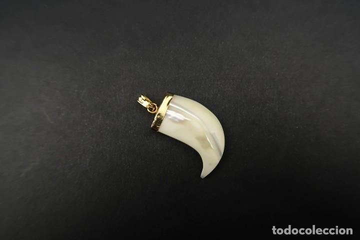 Joyeria: Antiguo Colgante Garra Nacar - Foto 4