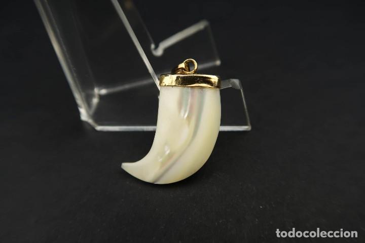 Joyeria: Antiguo Colgante Garra Nacar - Foto 5