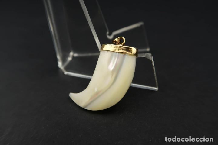 Joyeria: Antiguo Colgante Garra Nacar - Foto 6