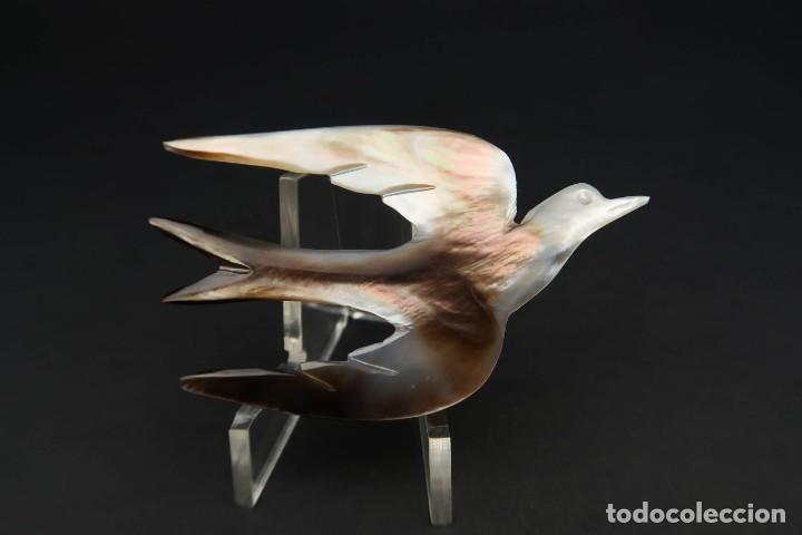 Joyeria: Antiguo Broche de Nacar - Foto 1