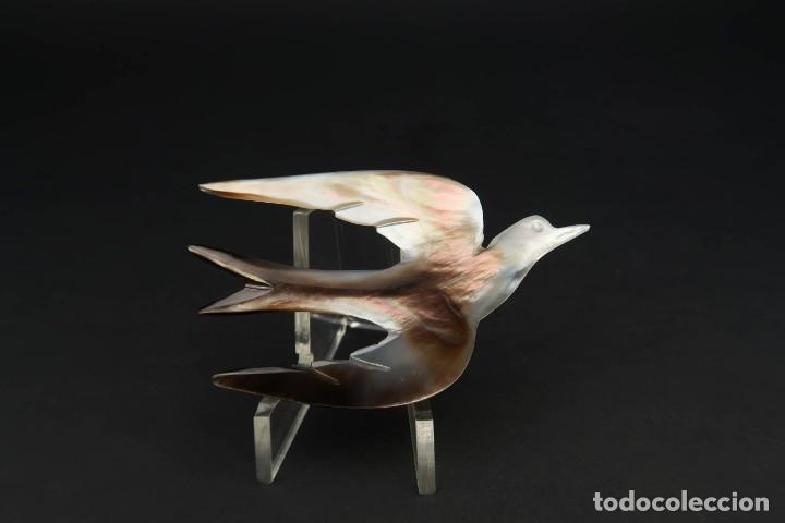 Joyeria: Antiguo Broche de Nacar - Foto 2