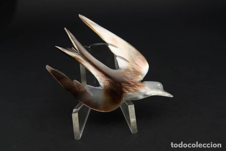 Joyeria: Antiguo Broche de Nacar - Foto 5