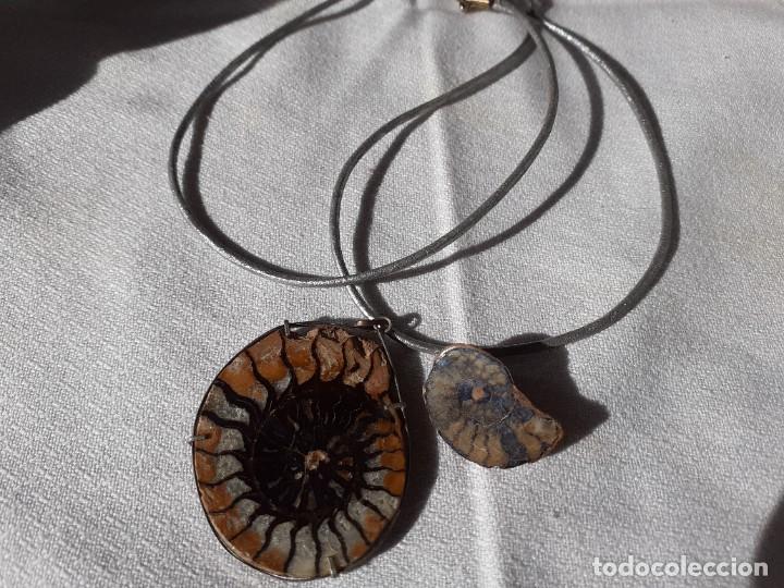 Joyeria: Conjunto de colgante y Pin de Amonites - Foto 1