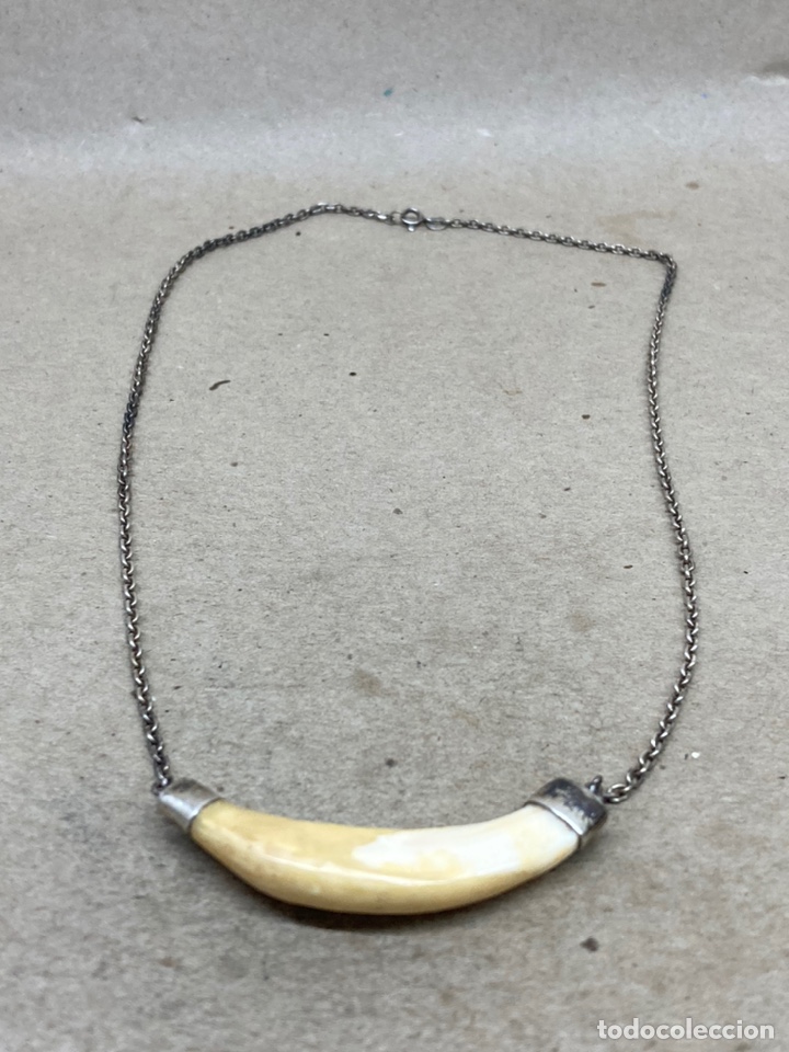 Joyeria: Collar de plata y hueso/colmillo - Foto 1