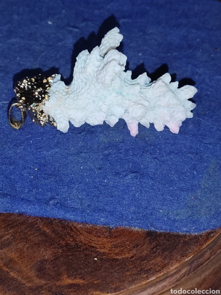 Joyeria: Colgante de coral engarzado. - Foto 2