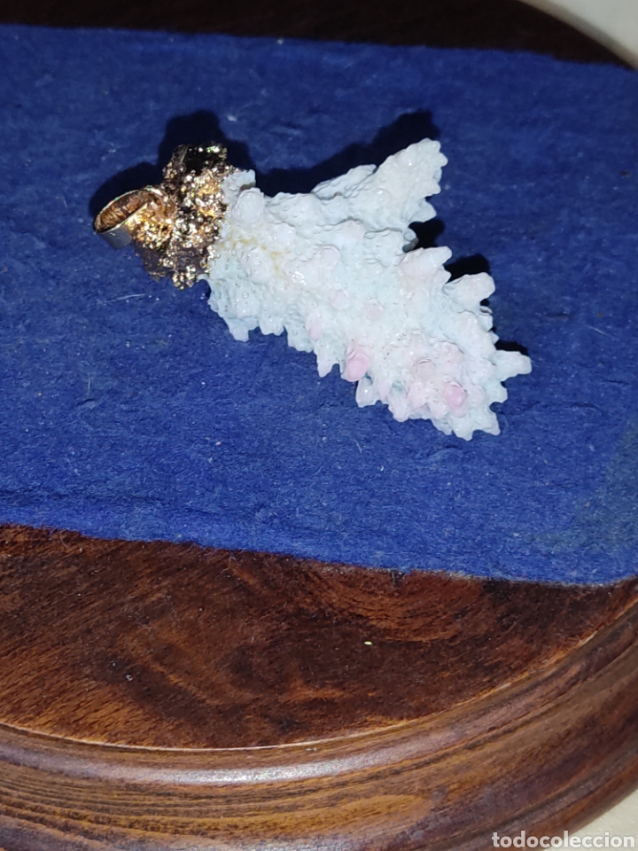 Joyeria: Colgante de coral engarzado. - Foto 3