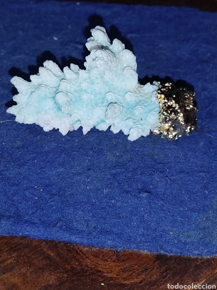 Joyeria: Colgante de coral engarzado. - Foto 5