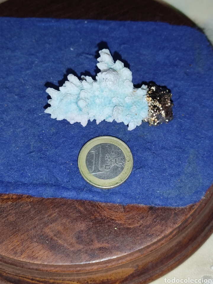 Joyeria: Colgante de coral engarzado. - Foto 6