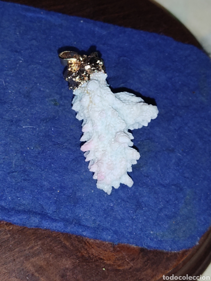 Joyeria: Colgante de coral engarzado. - Foto 7