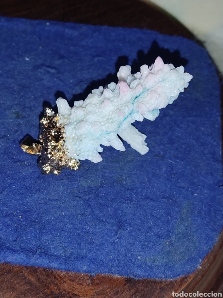 Joyeria: Colgante de coral engarzado. - Foto 8