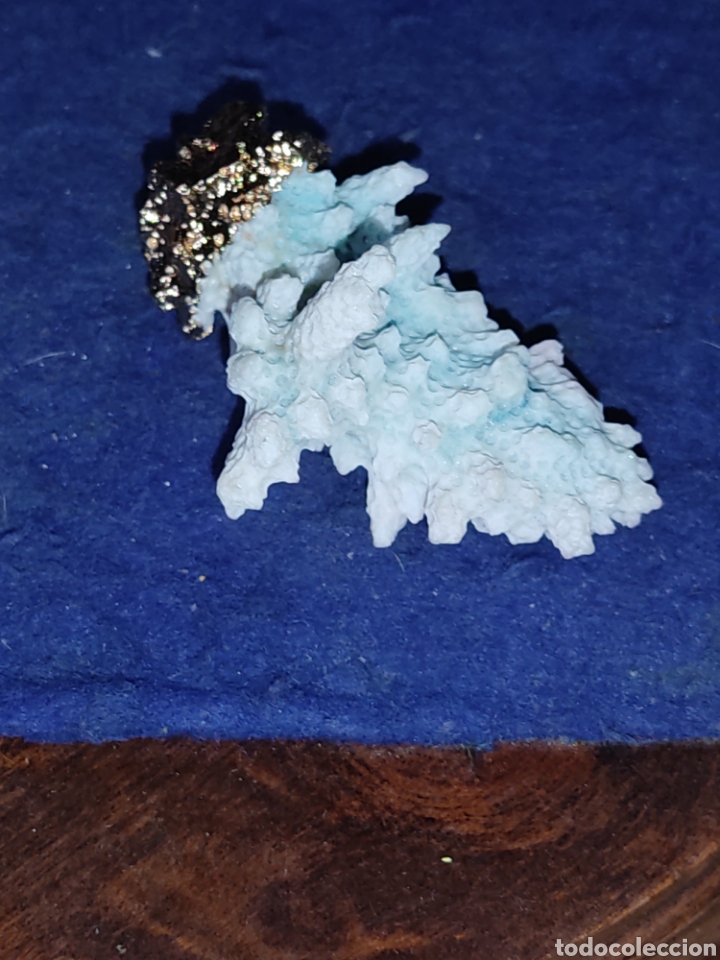 Joyeria: Colgante de coral engarzado. - Foto 1