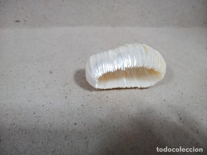 Joyeria: BONITA PULSERA DE NACAR. - Foto 7