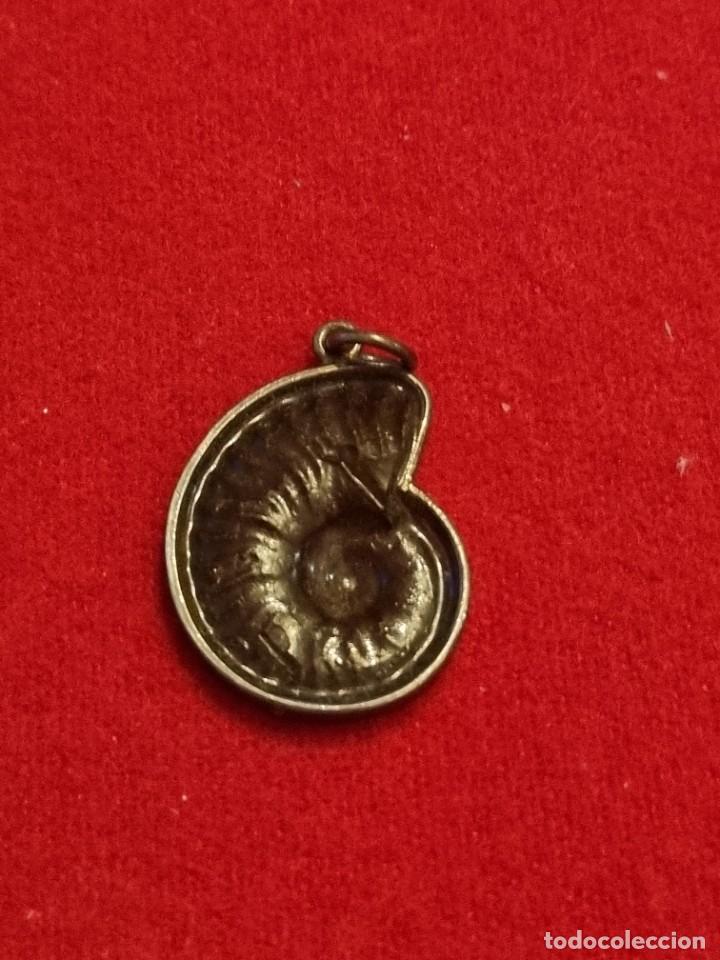 Joyeria: Colgante de plata forma de fosil. - Foto 2