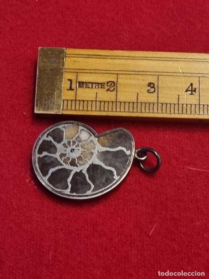 Joyeria: Colgante de plata forma de fosil. - Foto 3