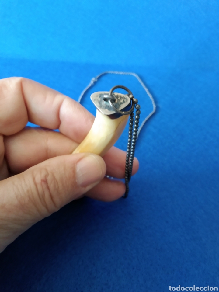 Joyeria: ANTIGUA GARGANTILLA CON COLMILLO Y PLATA - Foto 2