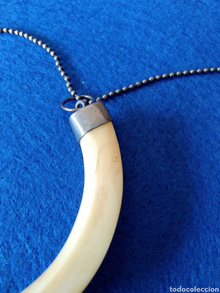 Joyeria: ANTIGUA GARGANTILLA CON COLMILLO Y PLATA - Foto 3