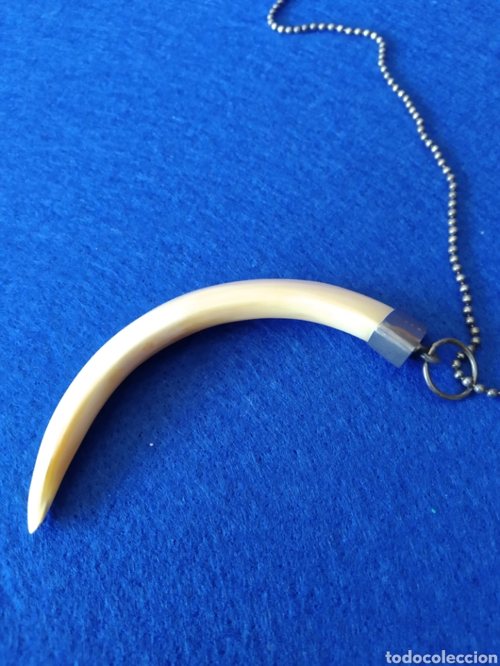 Joyeria: ANTIGUA GARGANTILLA CON COLMILLO Y PLATA - Foto 4