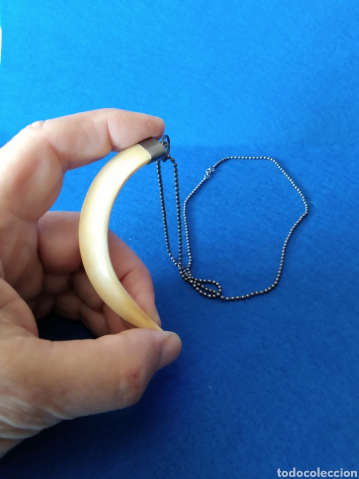 Joyeria: ANTIGUA GARGANTILLA CON COLMILLO Y PLATA - Foto 6