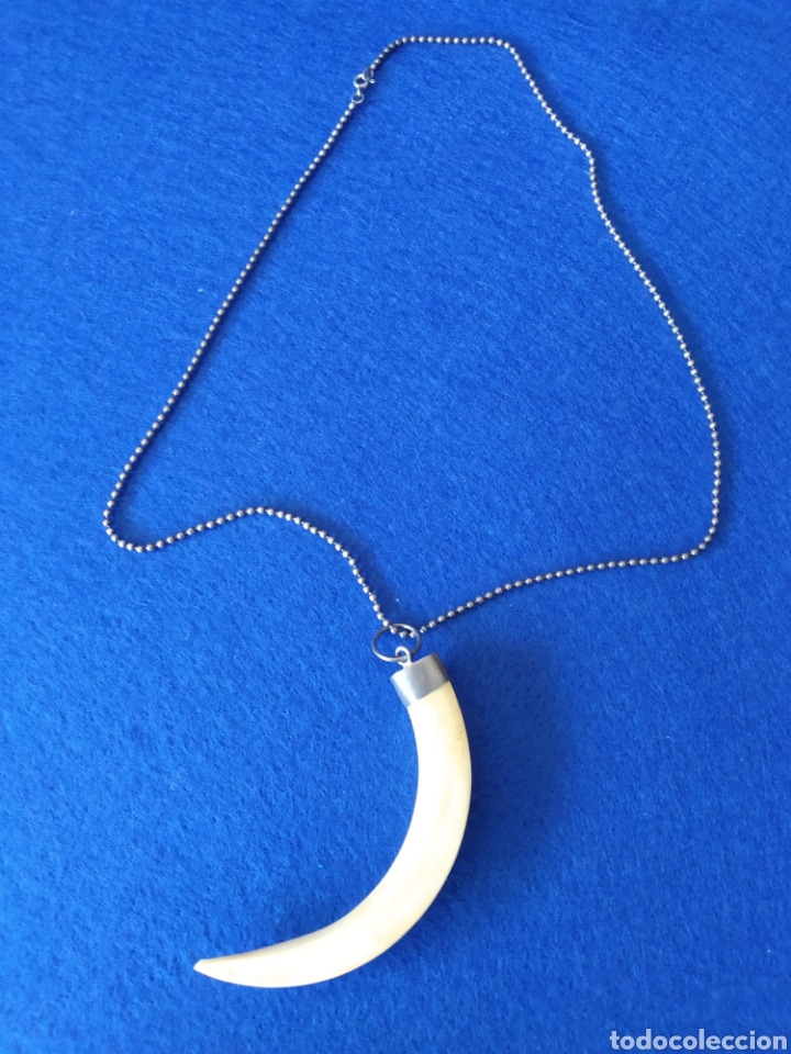 Joyeria: ANTIGUA GARGANTILLA CON COLMILLO Y PLATA - Foto 1