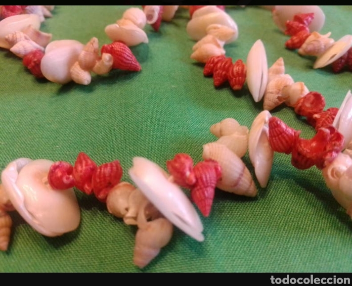 Joyeria: COLLAR CONCHAS MARINAS - Foto 3