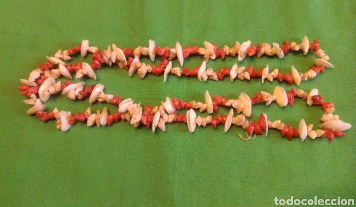 Joyeria: COLLAR CONCHAS MARINAS - Foto 1