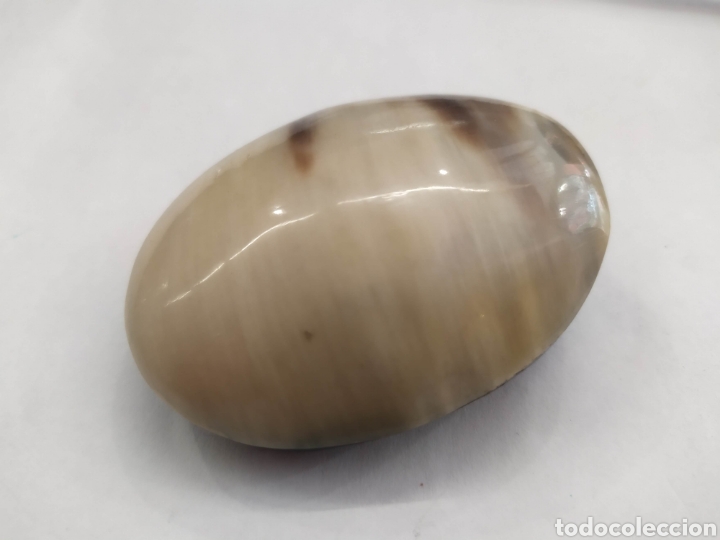 Joyeria: Broche de asta, cuerno. - Foto 2