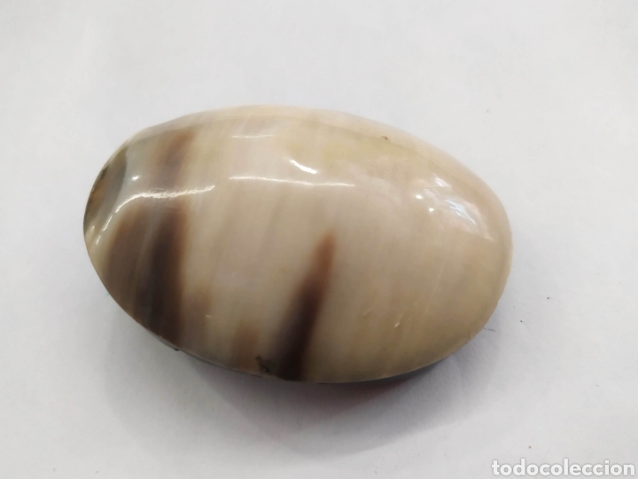 Joyeria: Broche de asta, cuerno. - Foto 1
