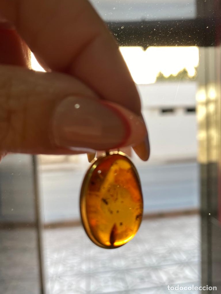 Joyeria: colgante de oro de 18 Kts y ambar con insectos. - Foto 5